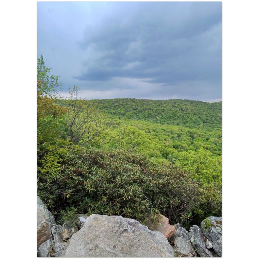 7b14adee-c9dc-403f-a9b6-78545f976ea3