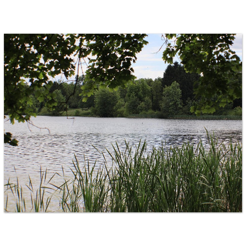 68d35df3-6a96-4031-8838-dd2034ab2ff6