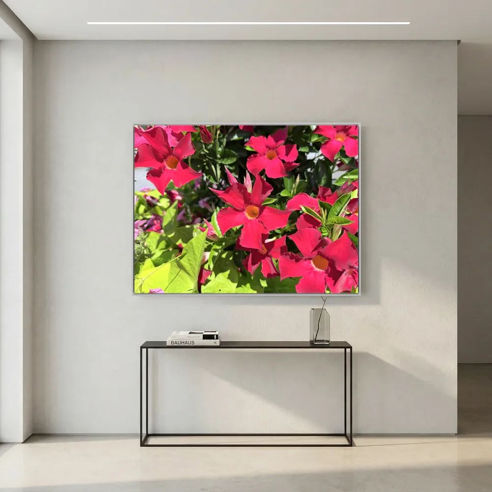 Beautiful red flowers 
