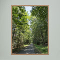Beautiful walking path 