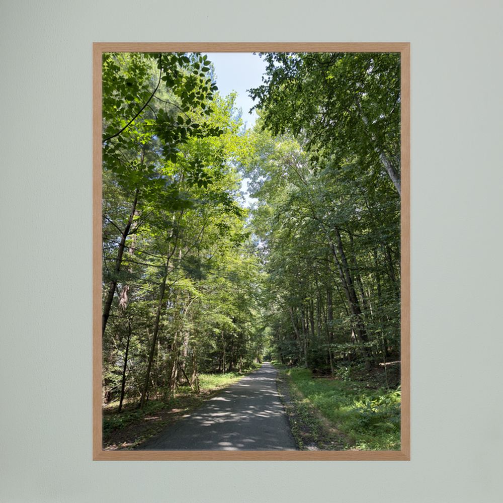 Beautiful walking path 