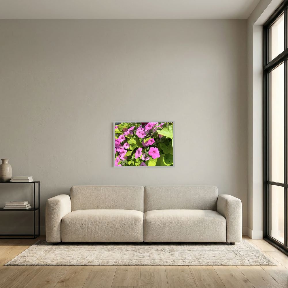 Purple flowers 