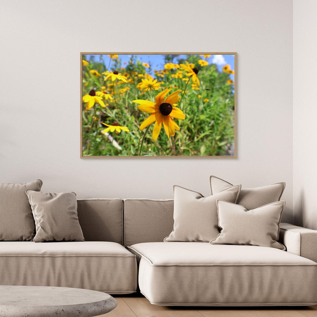 Wildflowers and a bee 