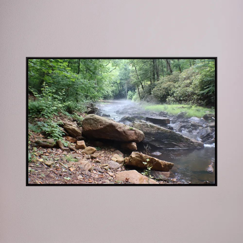 Misty forest stream 