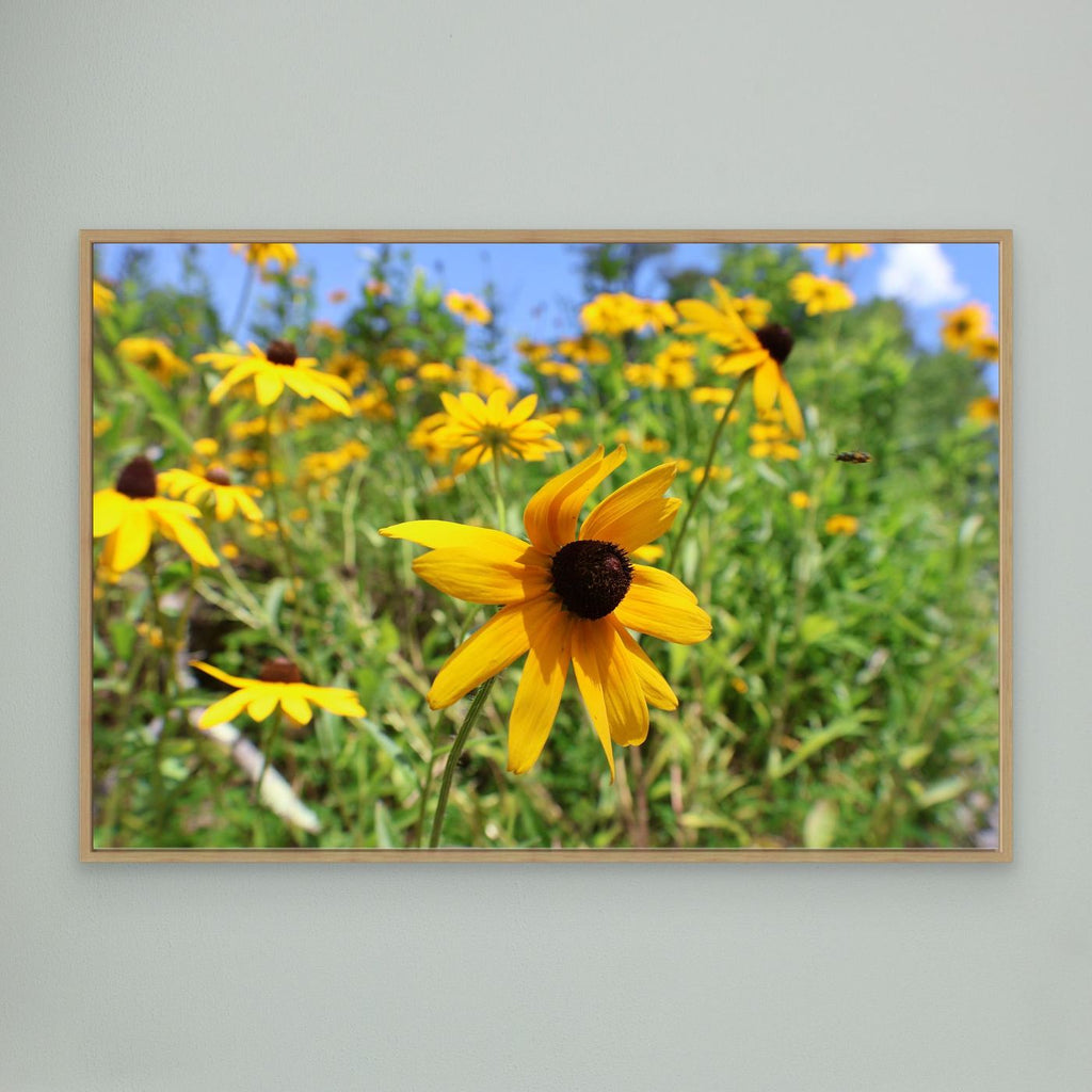 Wildflowers and a bee 