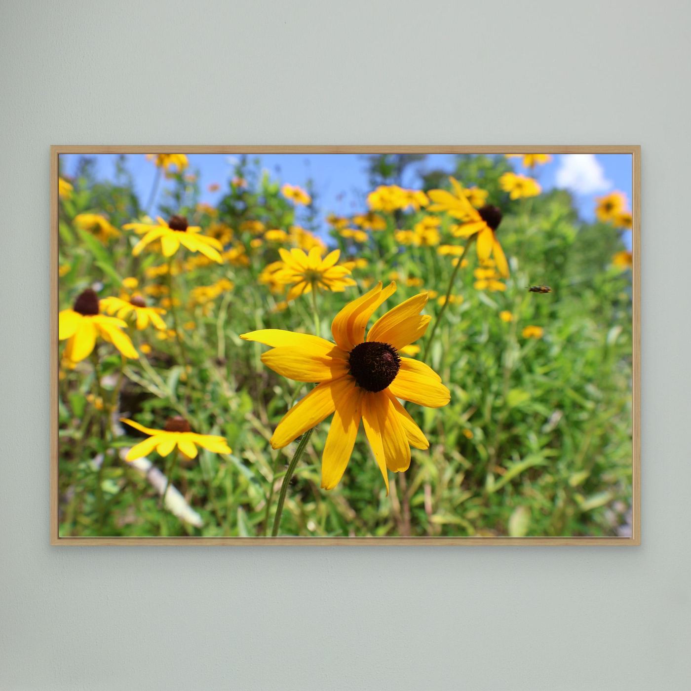 Wildflowers and a bee 