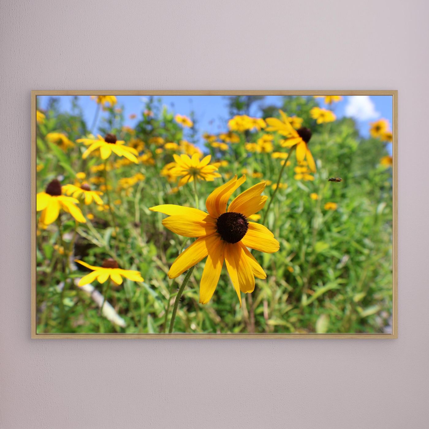 Wildflowers and a bee 