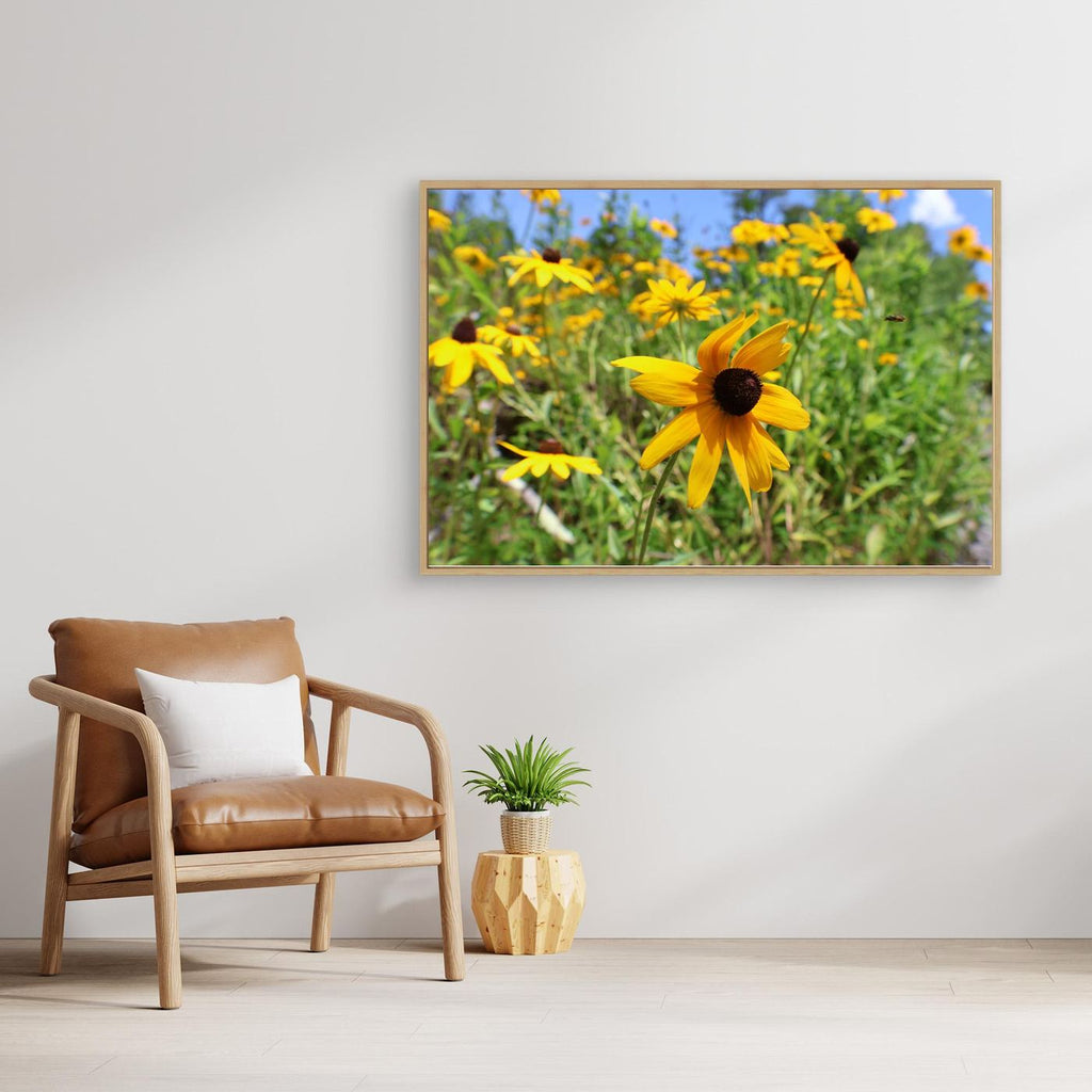 Wildflowers and a bee 