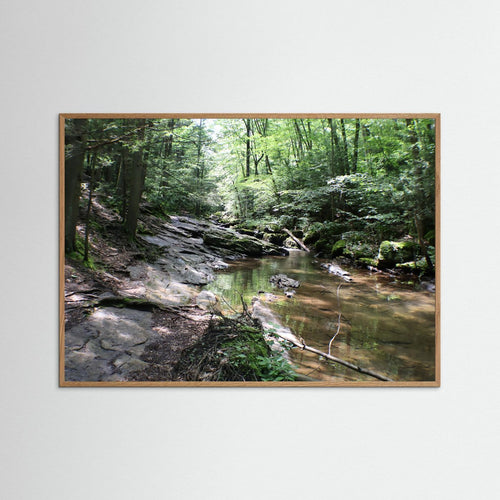 Beautiful forest stream 