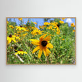 Wildflowers and a bee 