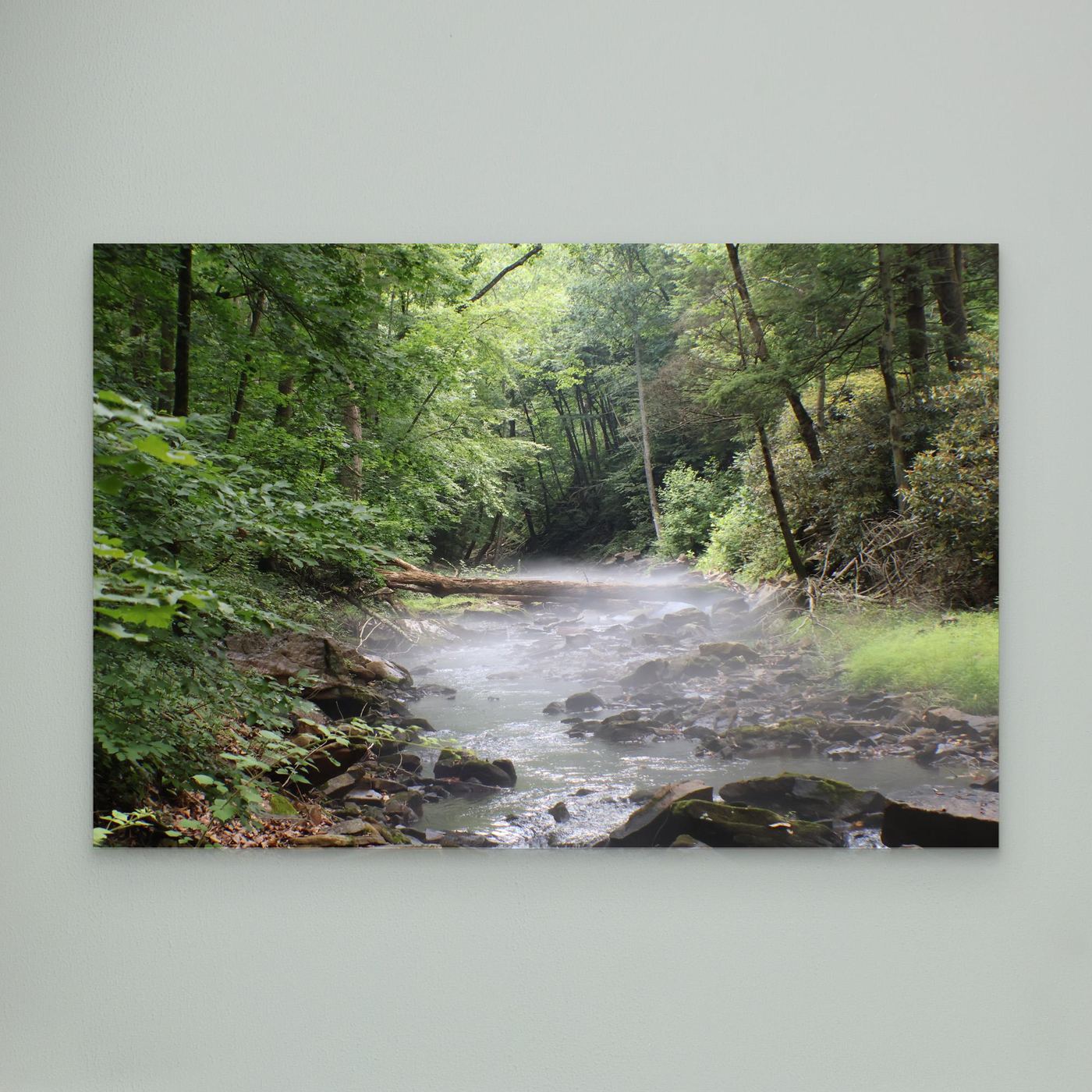 Forest stream mist 