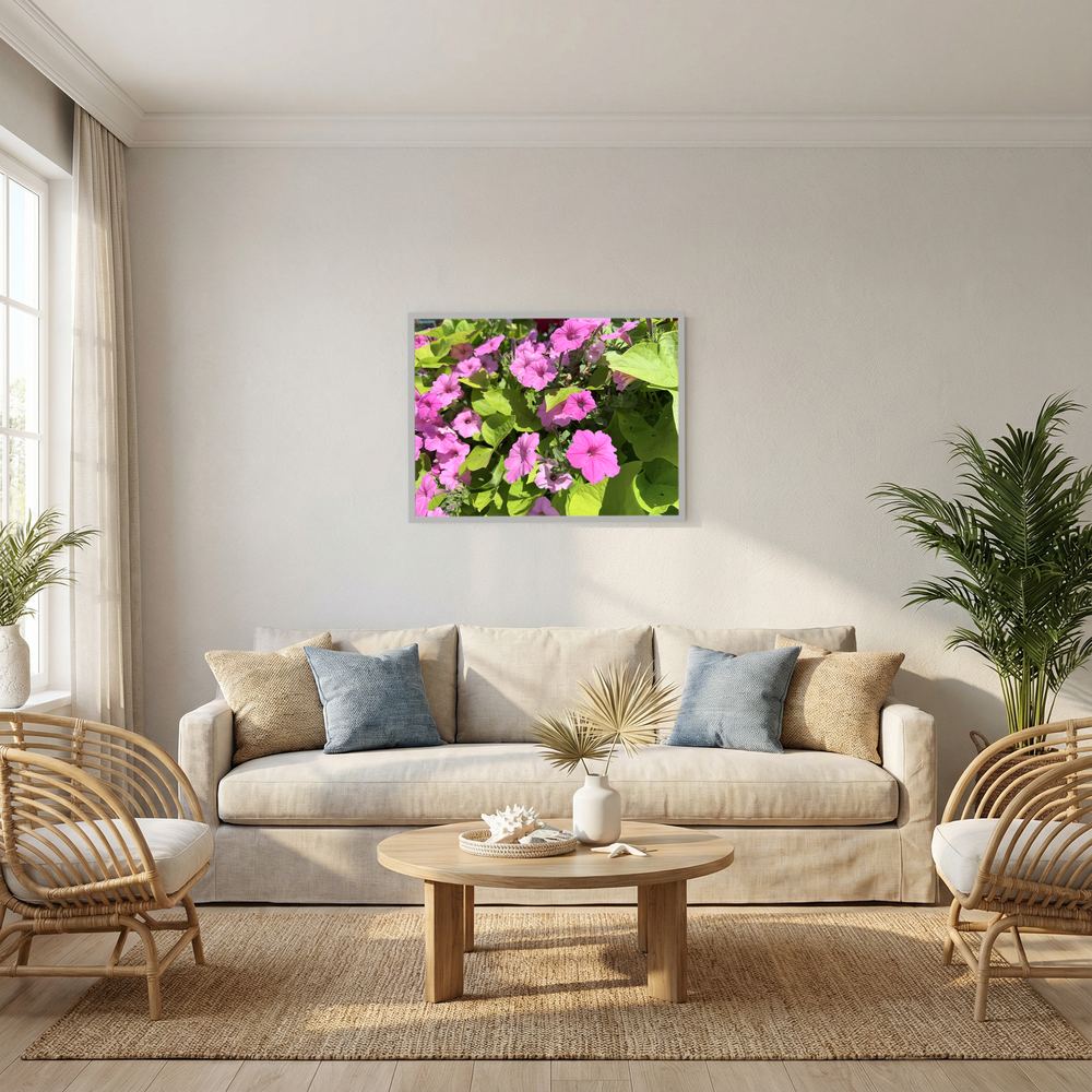 Purple flowers 